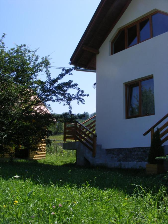 Casa Lacul Mierlei Hotel Sovata Exterior photo
